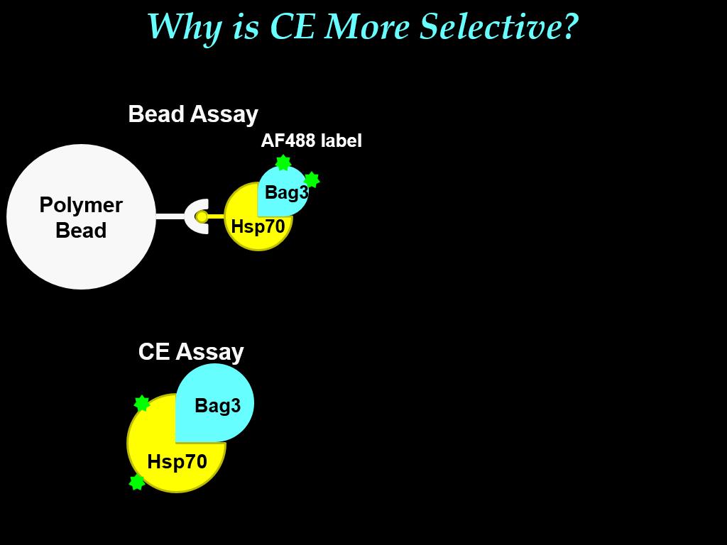 Why is CE More Selective?