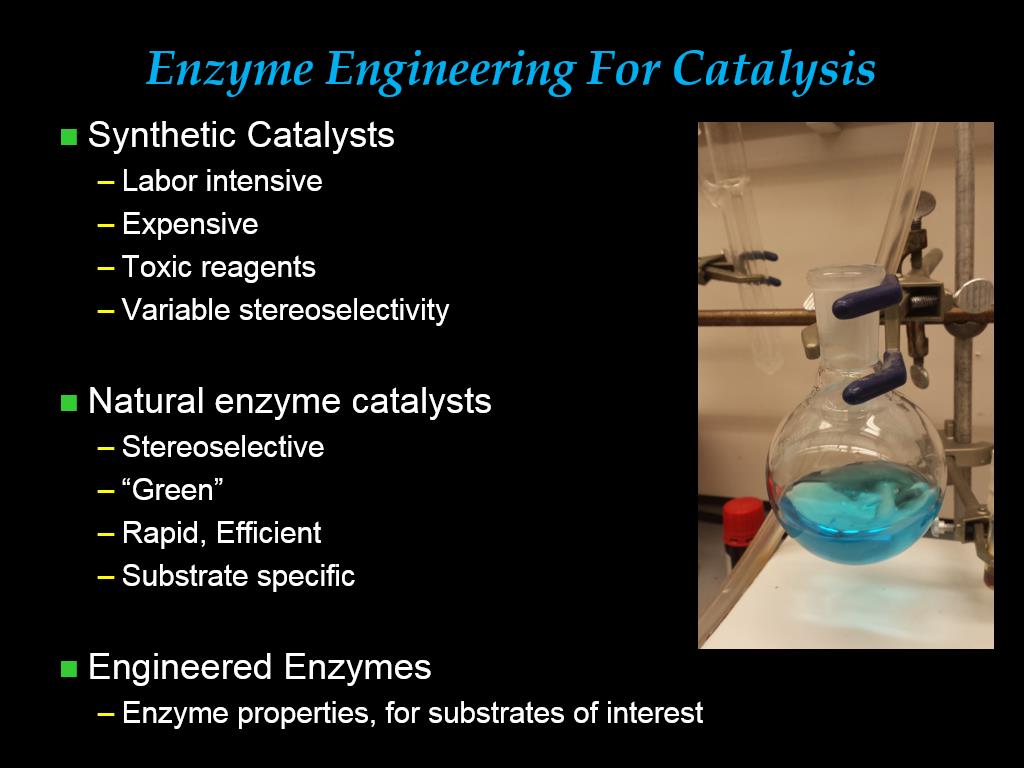 Enzyme Engineering For Catalysis