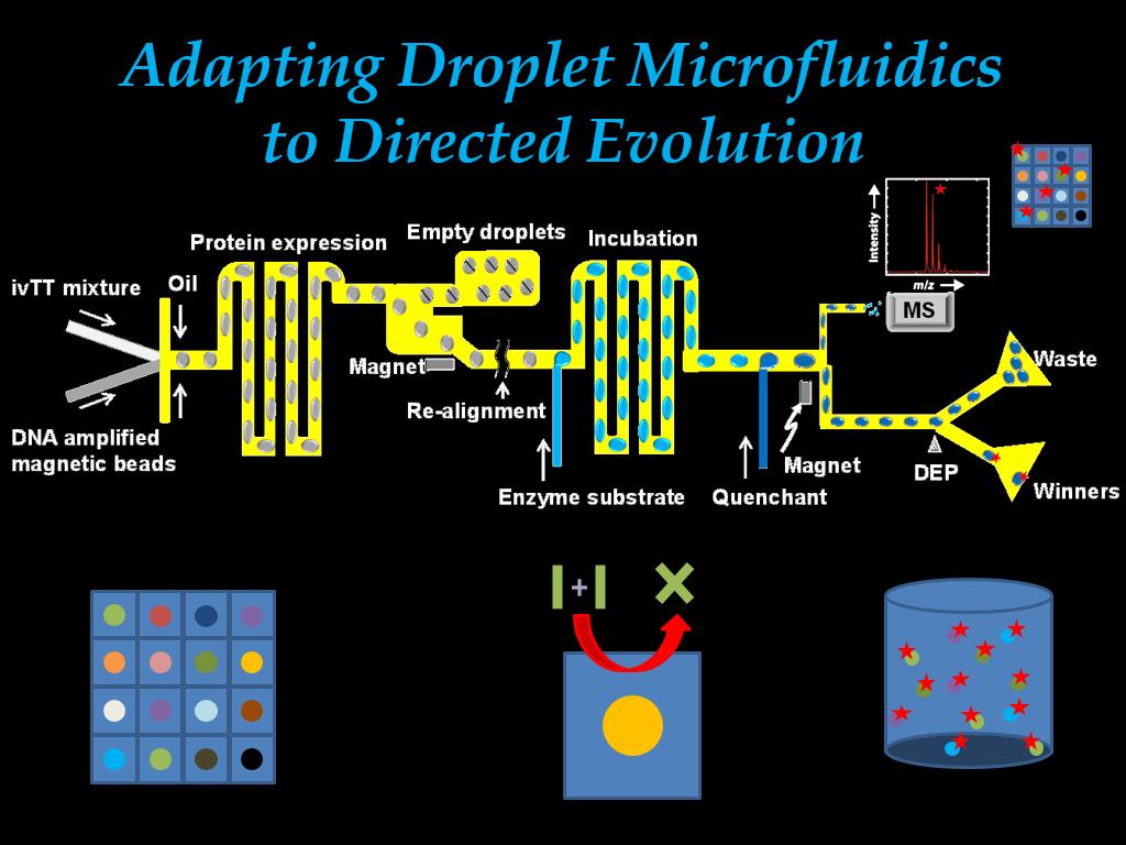 Adapting Droplet Microfluidics to Directed Evolution