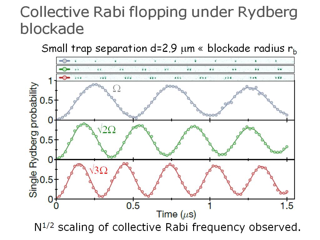 Collective Rabi flopping under Rydberg blockade