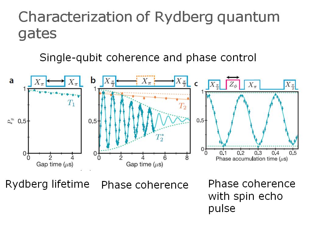 Characterization of Rydberg quantum gates