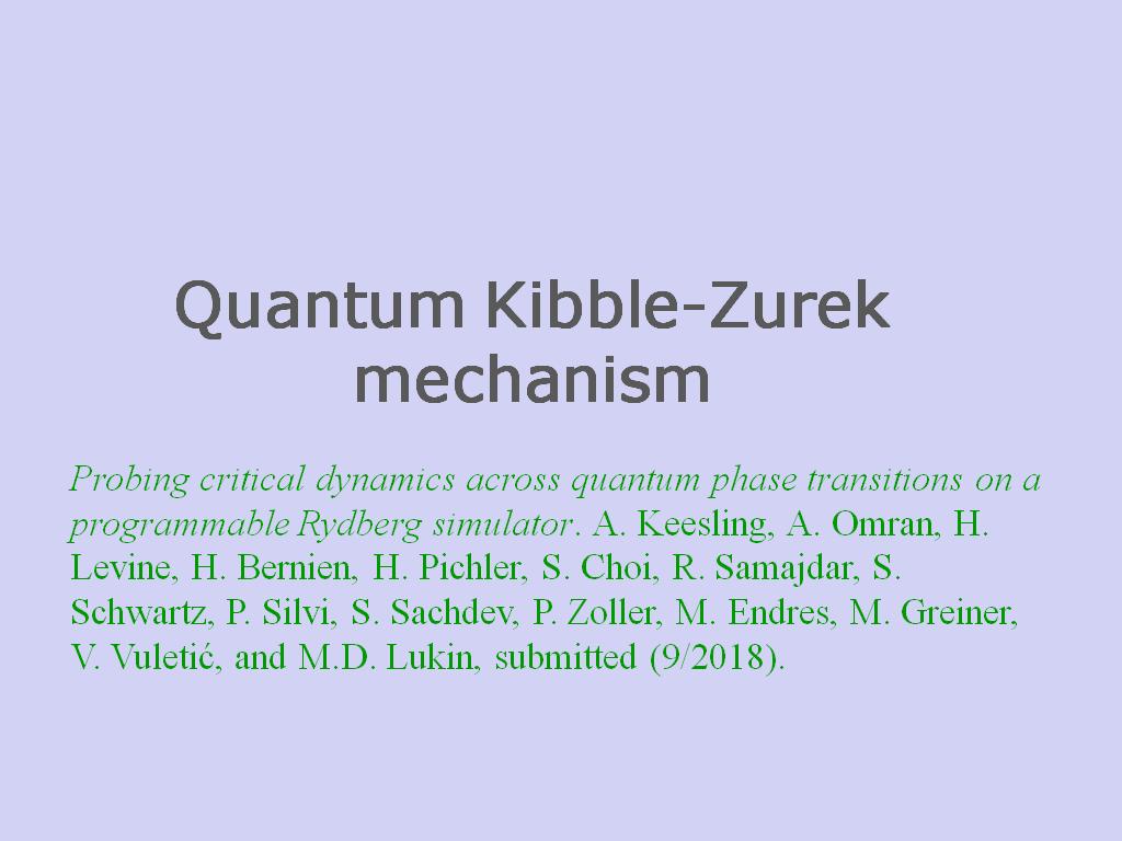 Quantum Kibble-Zurek mechanism