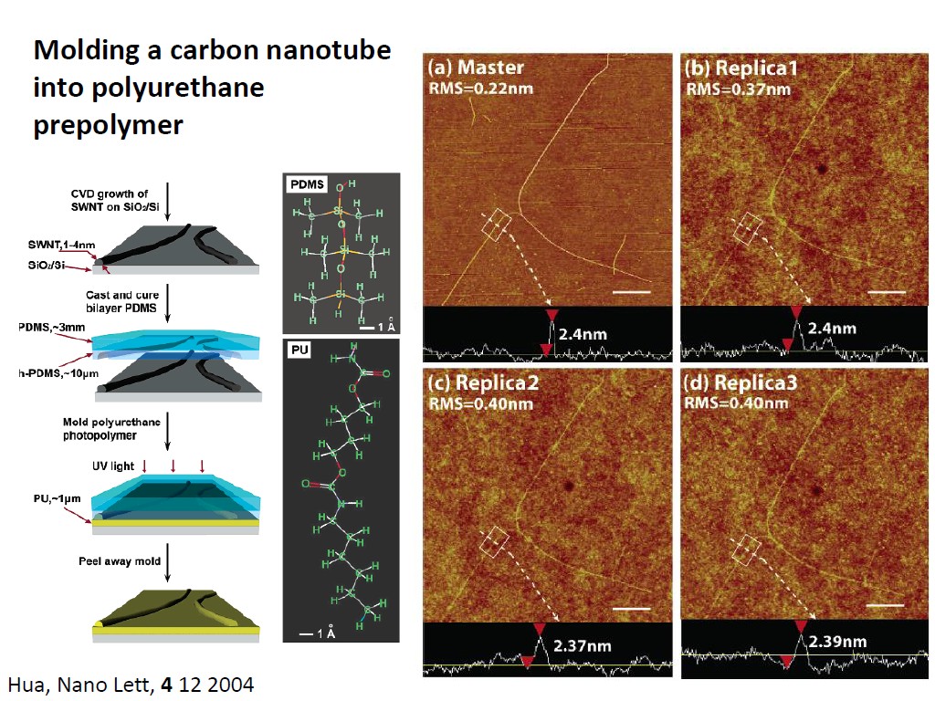 Molding a carbon nanotube into polyurethane prepolymer