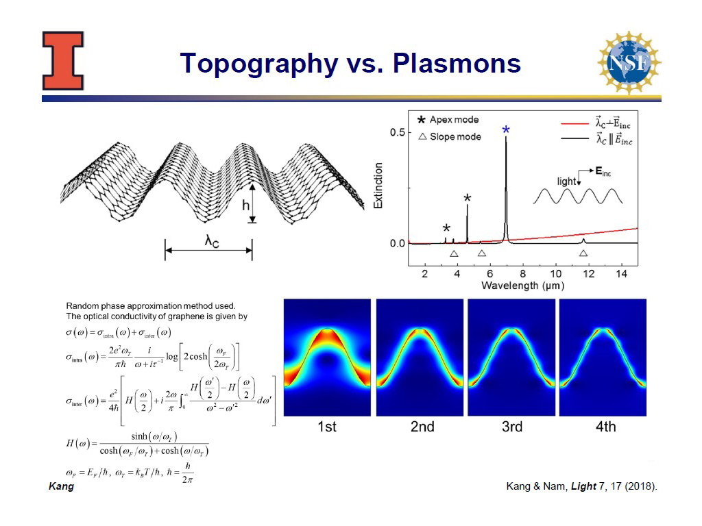 Topography vs. Plasmons