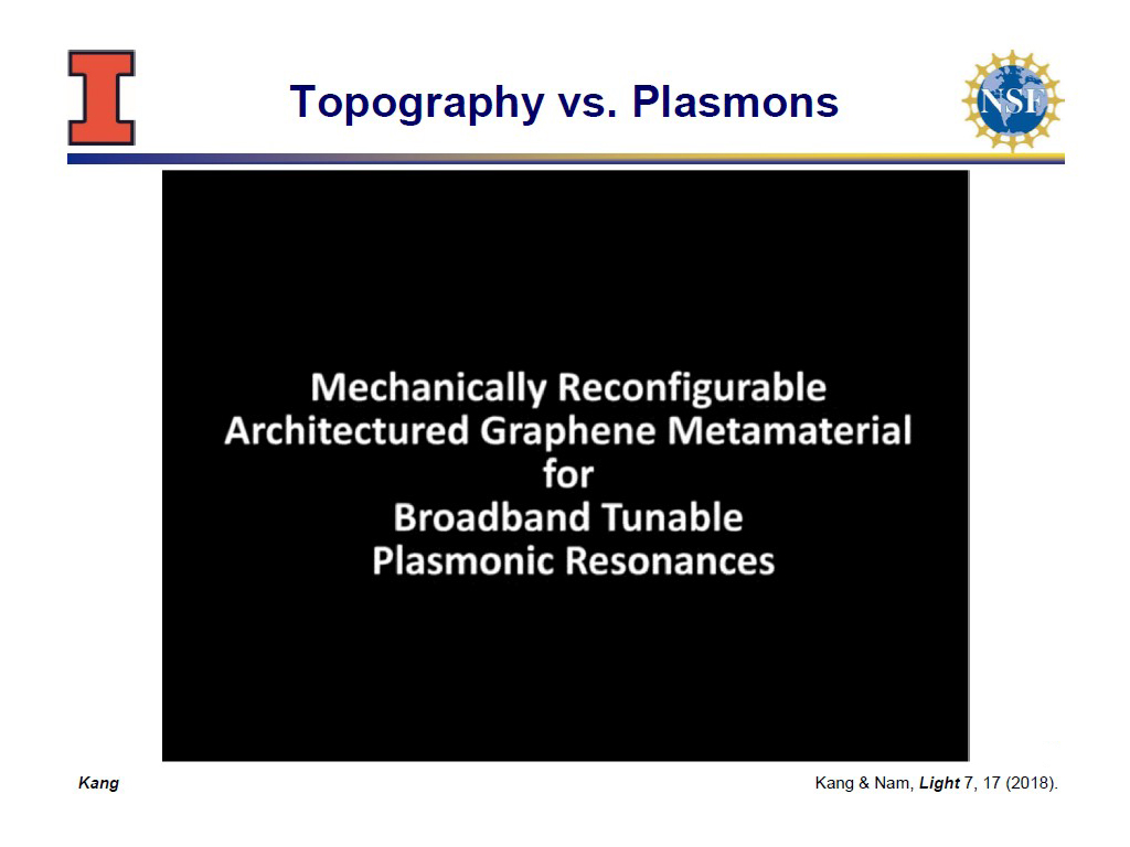 Topography vs. Plasmons