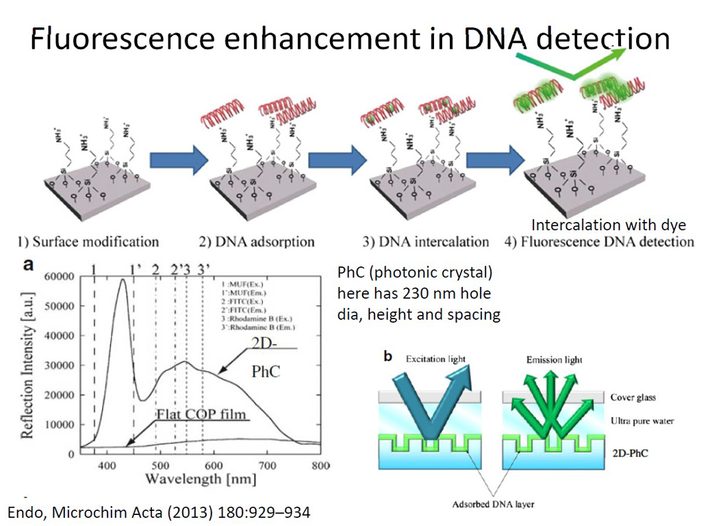 Fluorescence enhancement in DNA detection