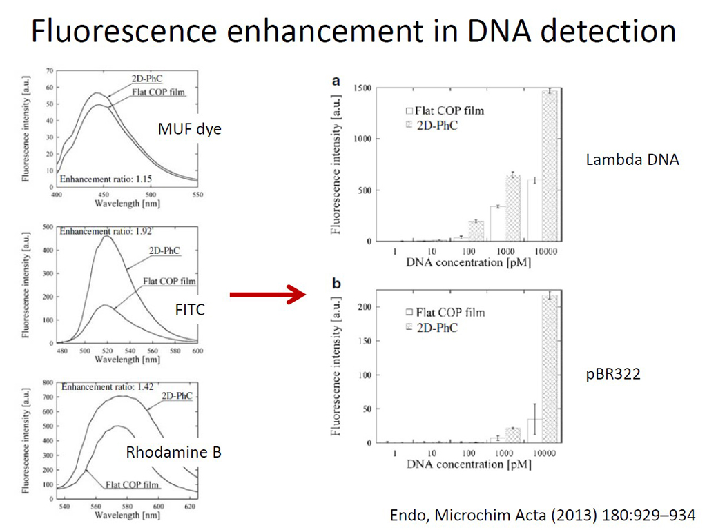 Fluorescence enhancement in DNA detection