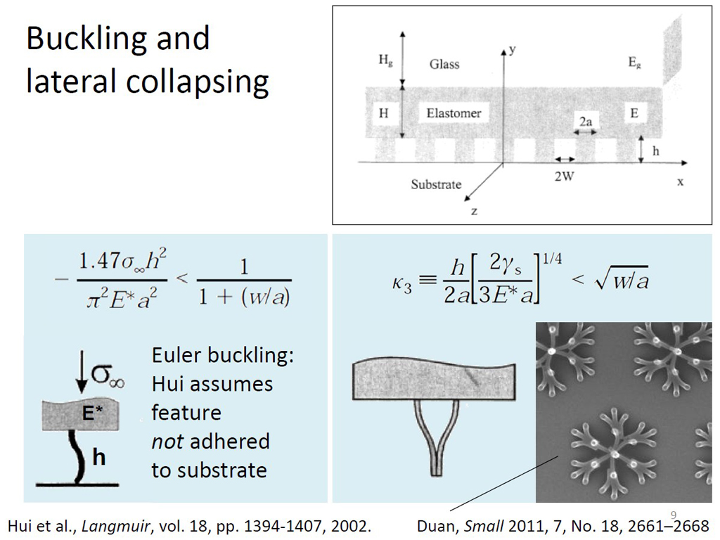 Buckling and lateral collapsing