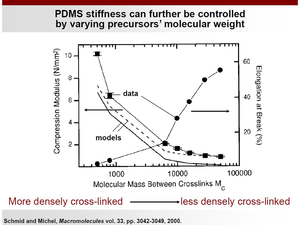 PDMS stiffness