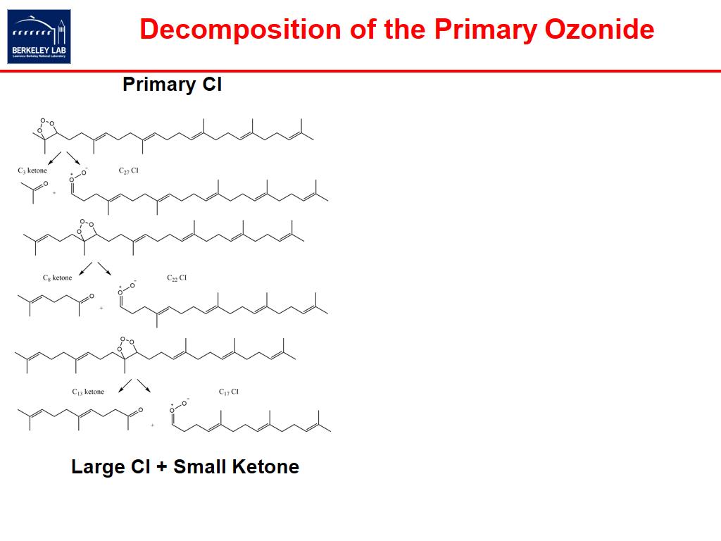 Decomposition of the Primary Ozonide