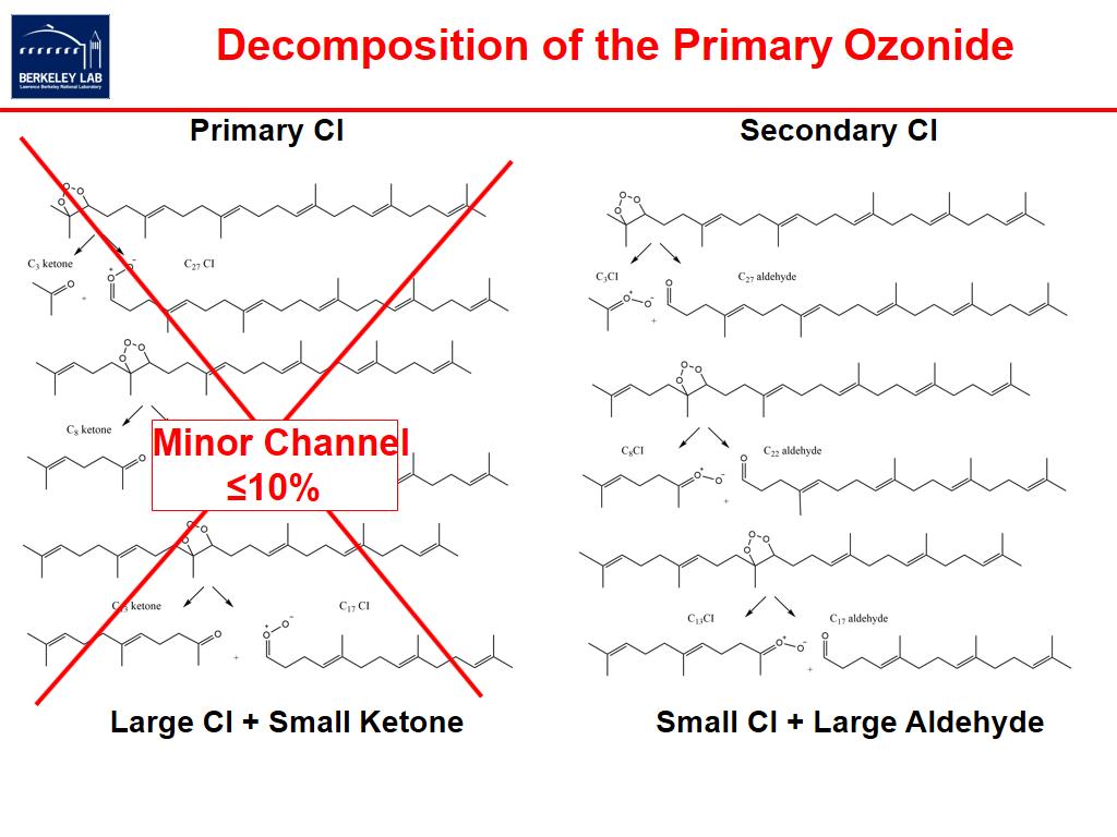 Decomposition of the Primary Ozonide