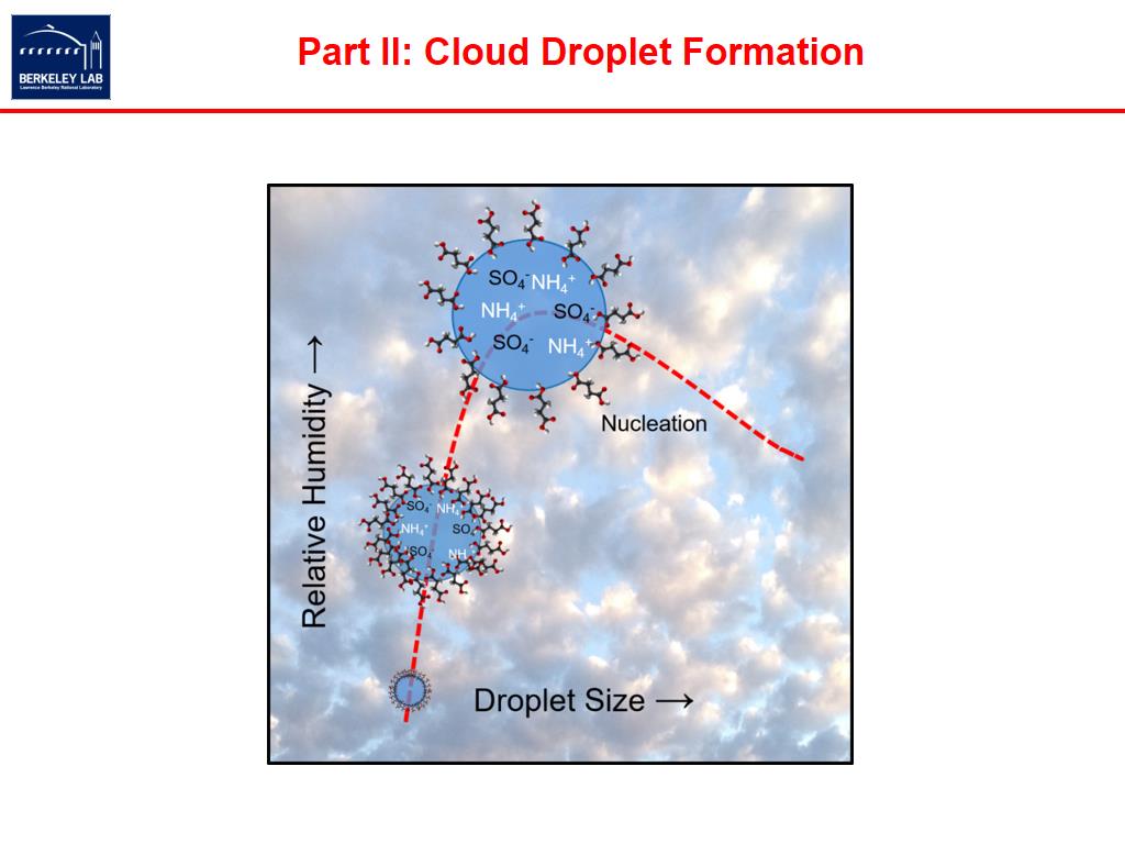 Part II: Cloud Droplet Formation