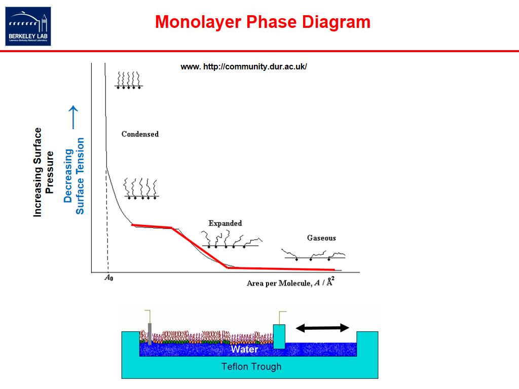 Monolayer Phase Diagram