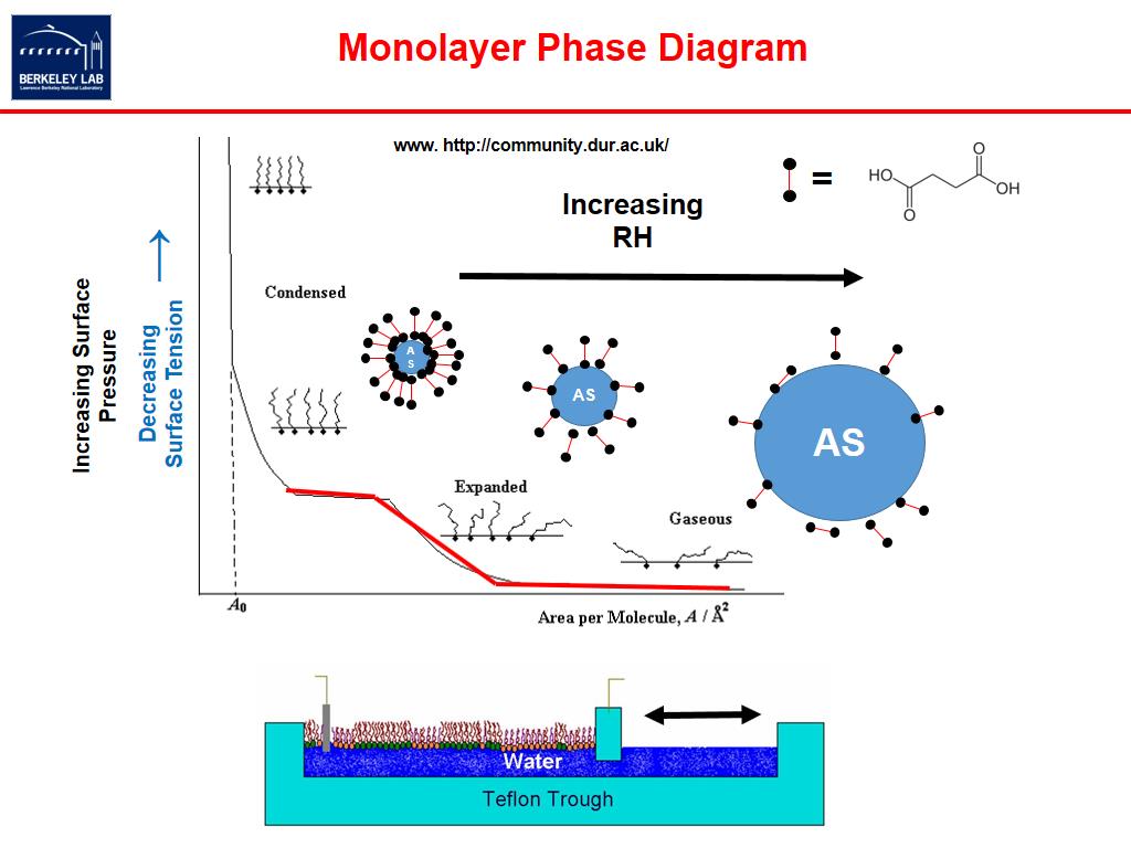 Monolayer Phase Diagram