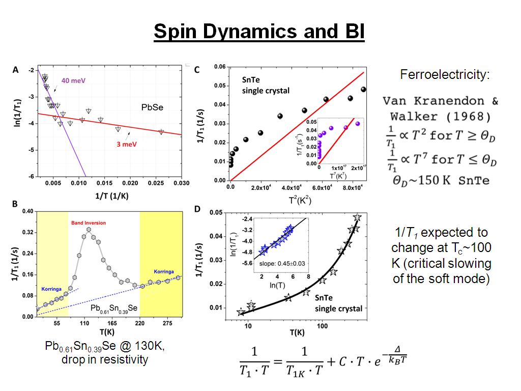 Spin Dynamics and BI