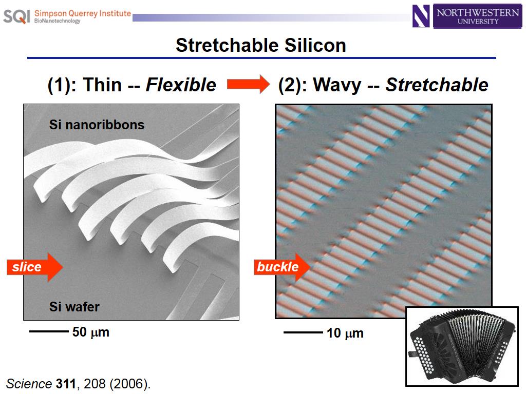 Stretchable Silicon