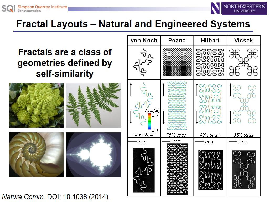 Fractal Layouts – Natural and Engineered Systems