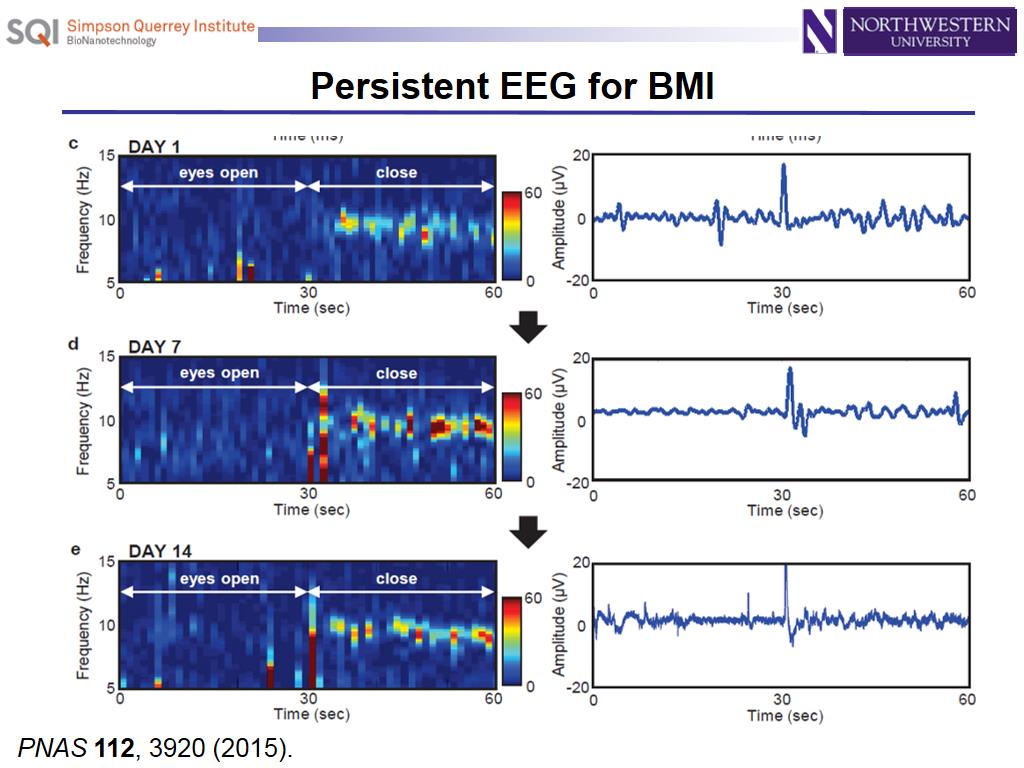 Persistent EEG for BMI