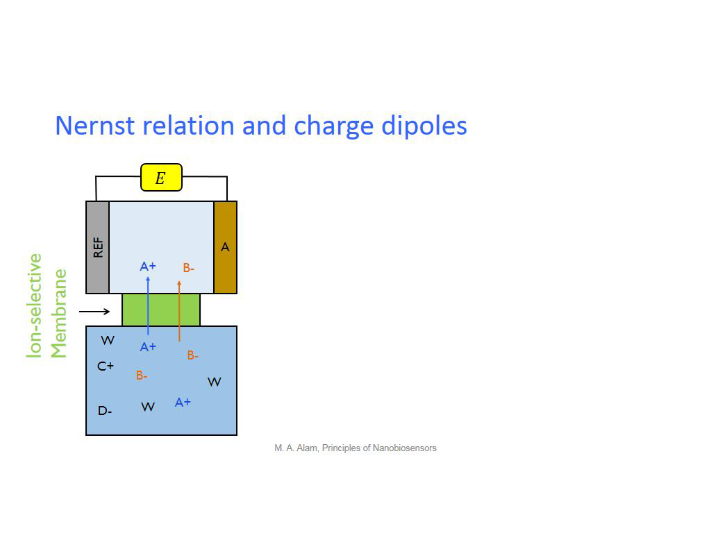 Nernst relation and charge dipoles