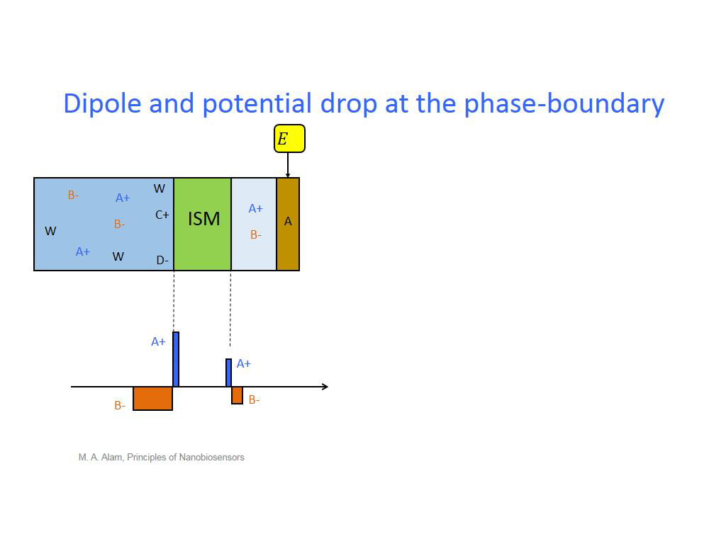 Dipole and potential drop at the phase-boundary
