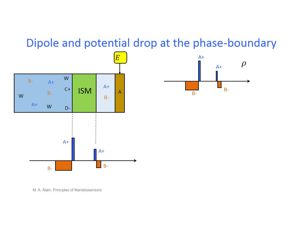 Dipole and potential drop at the phase-boundary
