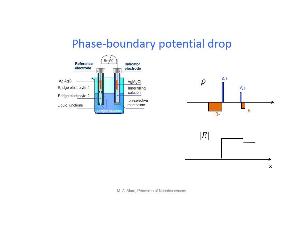 Phase-boundary potential drop