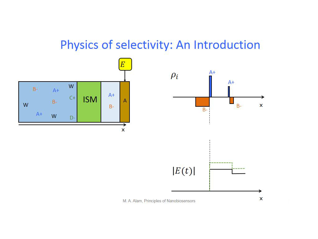 Physics of selectivity: An Introduction