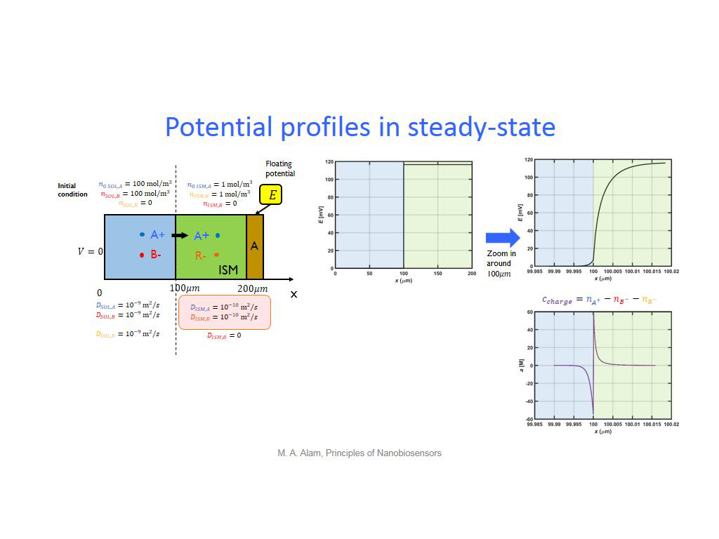 Potential profiles in steady-state