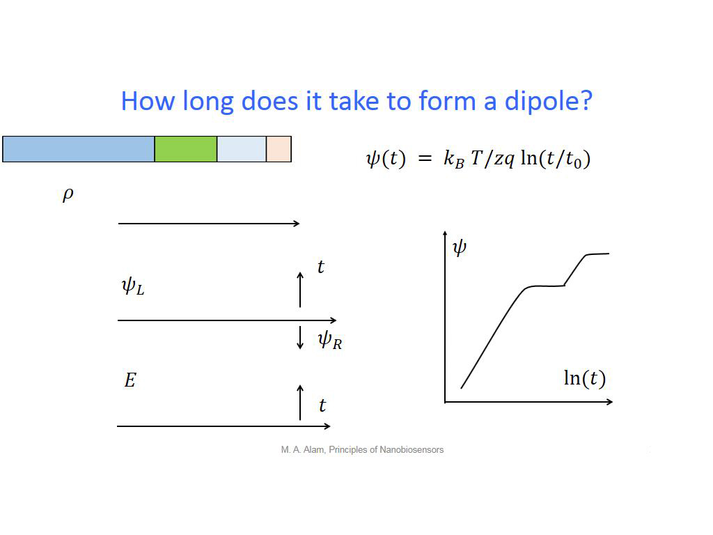 How long does it take to form a dipole?