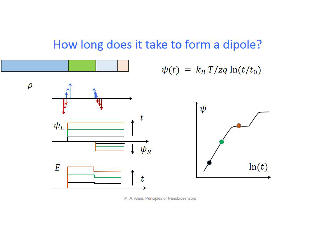 How long does it take to form a dipole?