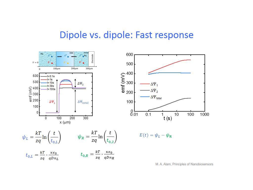 Dipole vs. dipole: Fast response