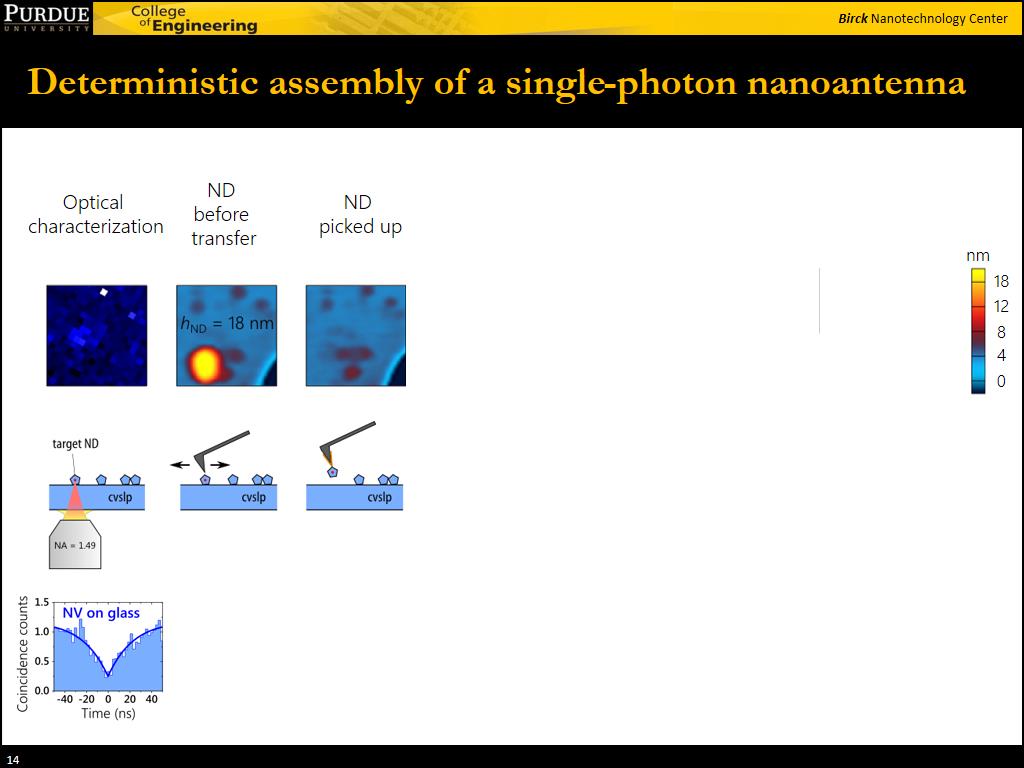 Deterministic assembly of a single-photon nanoantenna