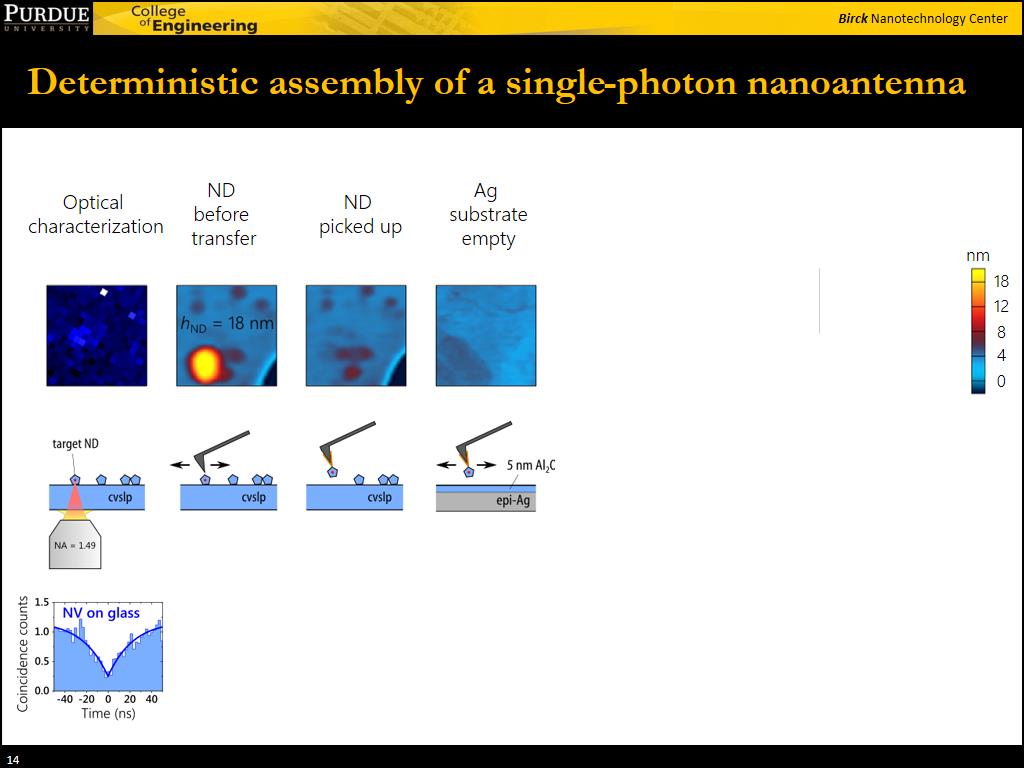 Deterministic assembly of a single-photon nanoantenna