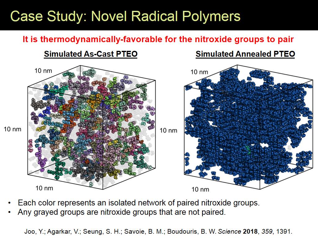 Case Study: Novel Radical Polymers