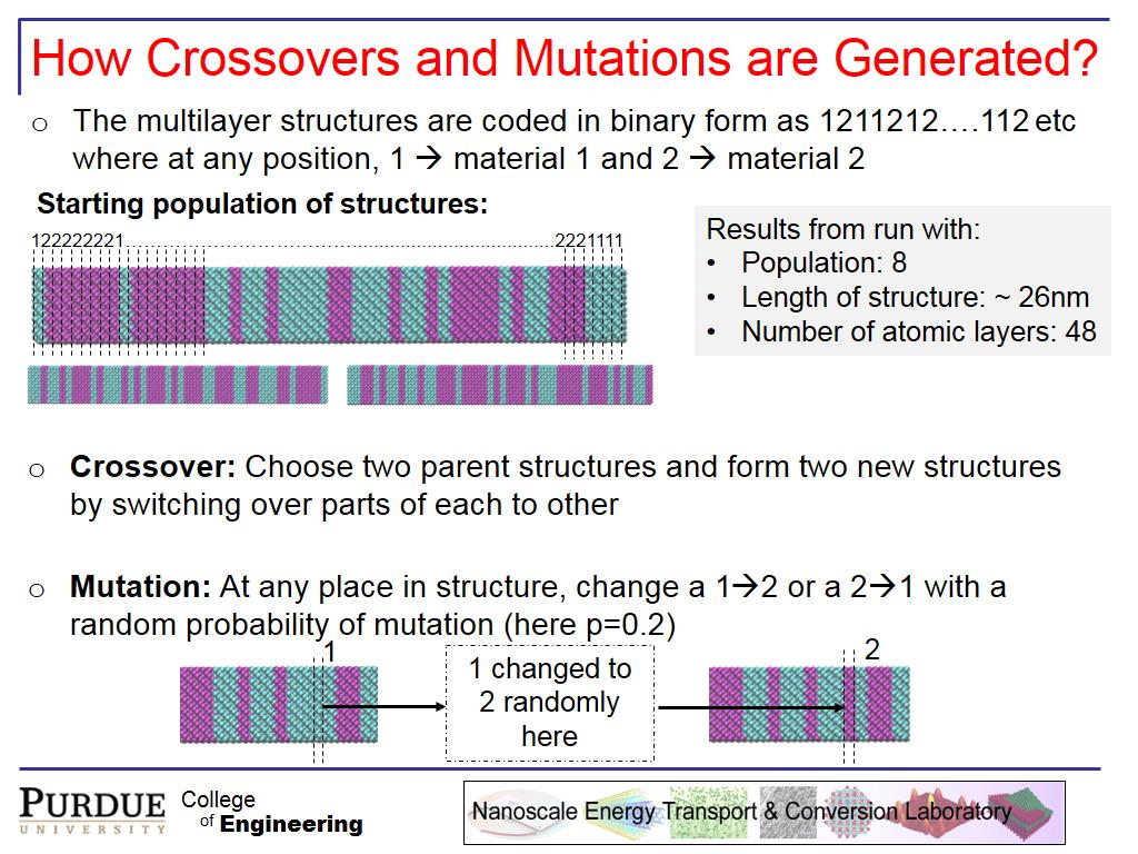 How Crossovers and Mutations are Generated?
