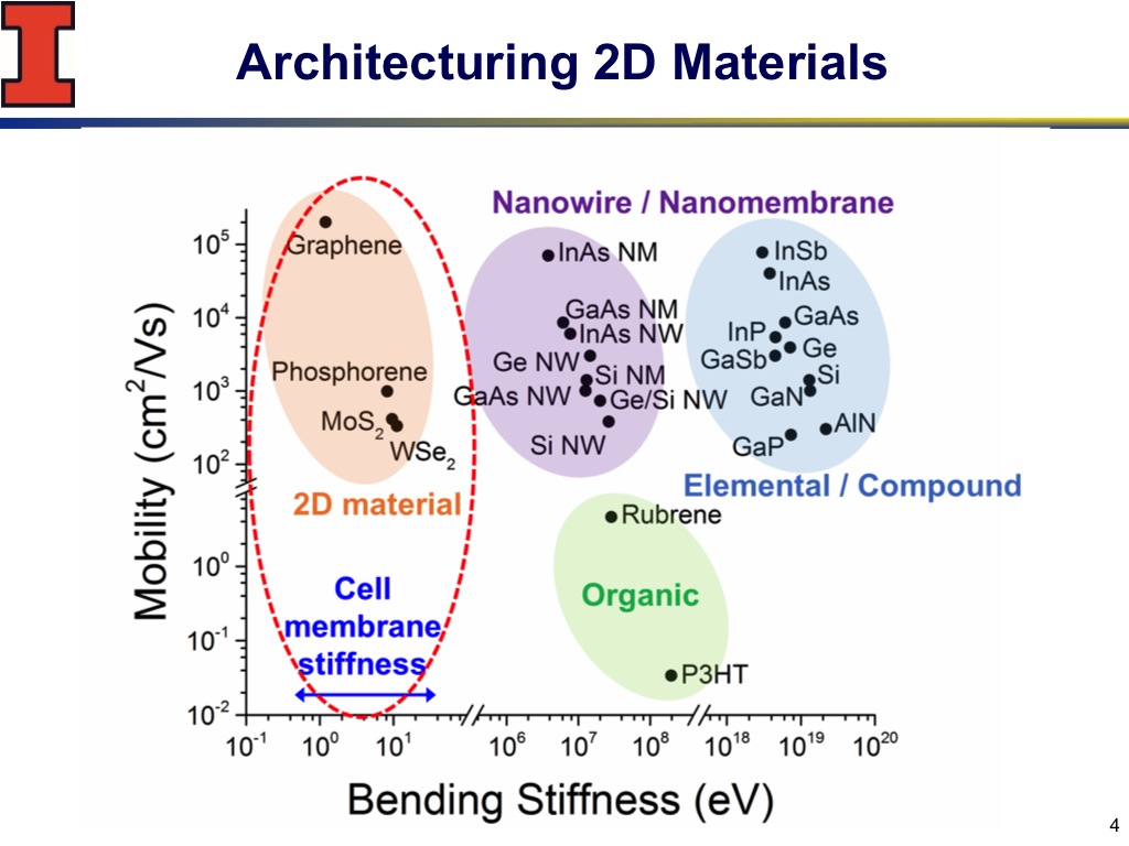 Architecturing 2D Materials