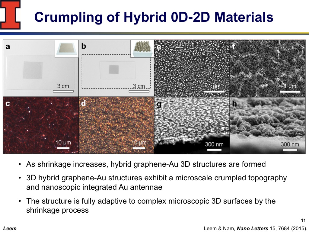 Crumpling of Hybrid 0D-2D Materials