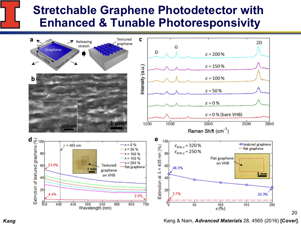 Stretchable Graphene Photodetector