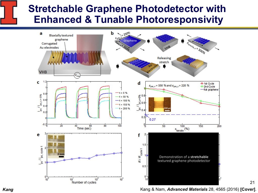 Stretchable Graphene Photodetector