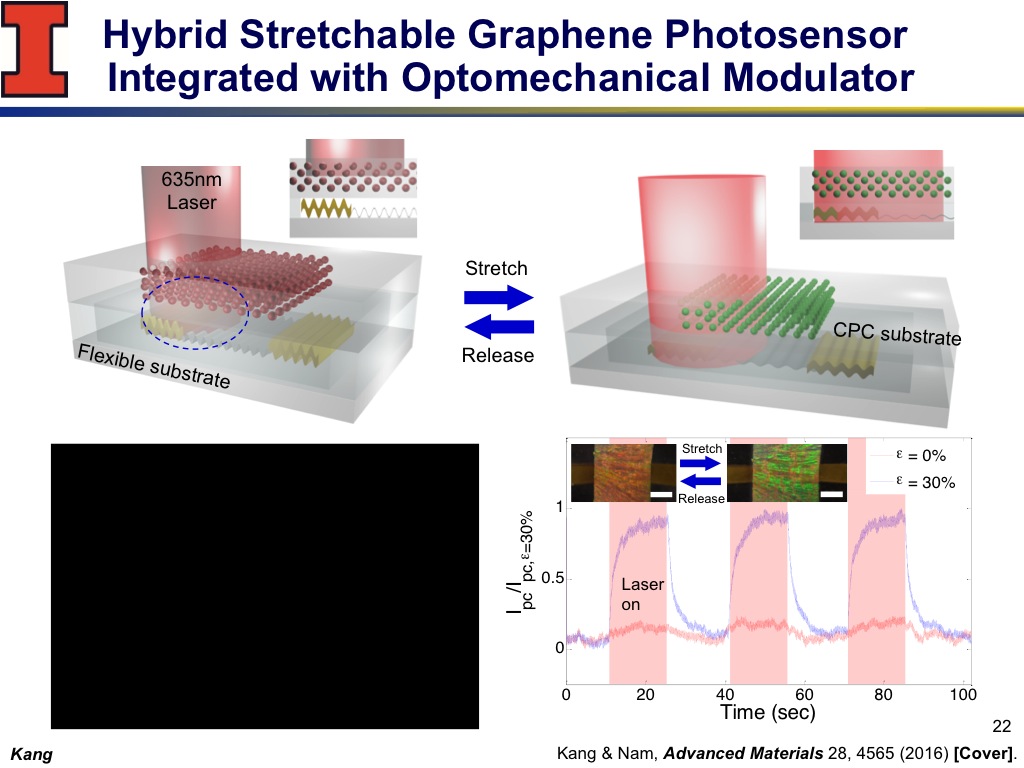 Hybrid Stretchable Graphene Photosensor