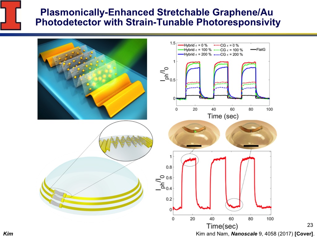 Plasmonically-Enhanced Stretchable Graphene/Au Photodetector