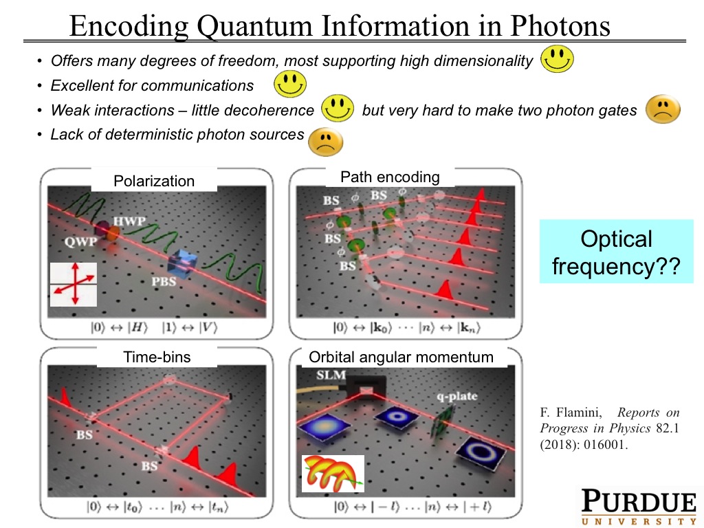 Encoding Quantum Information in Photons