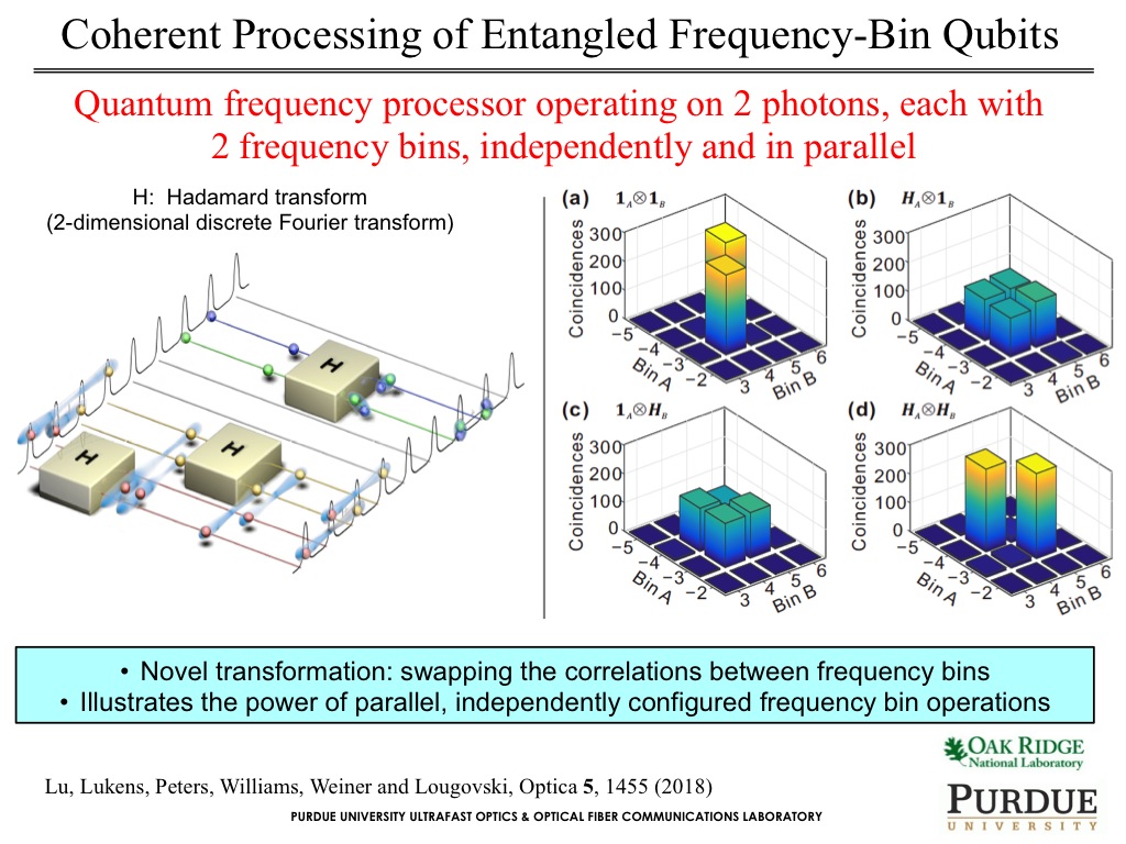 Coherent Processing of Entangled Frequency-Bin Qubits