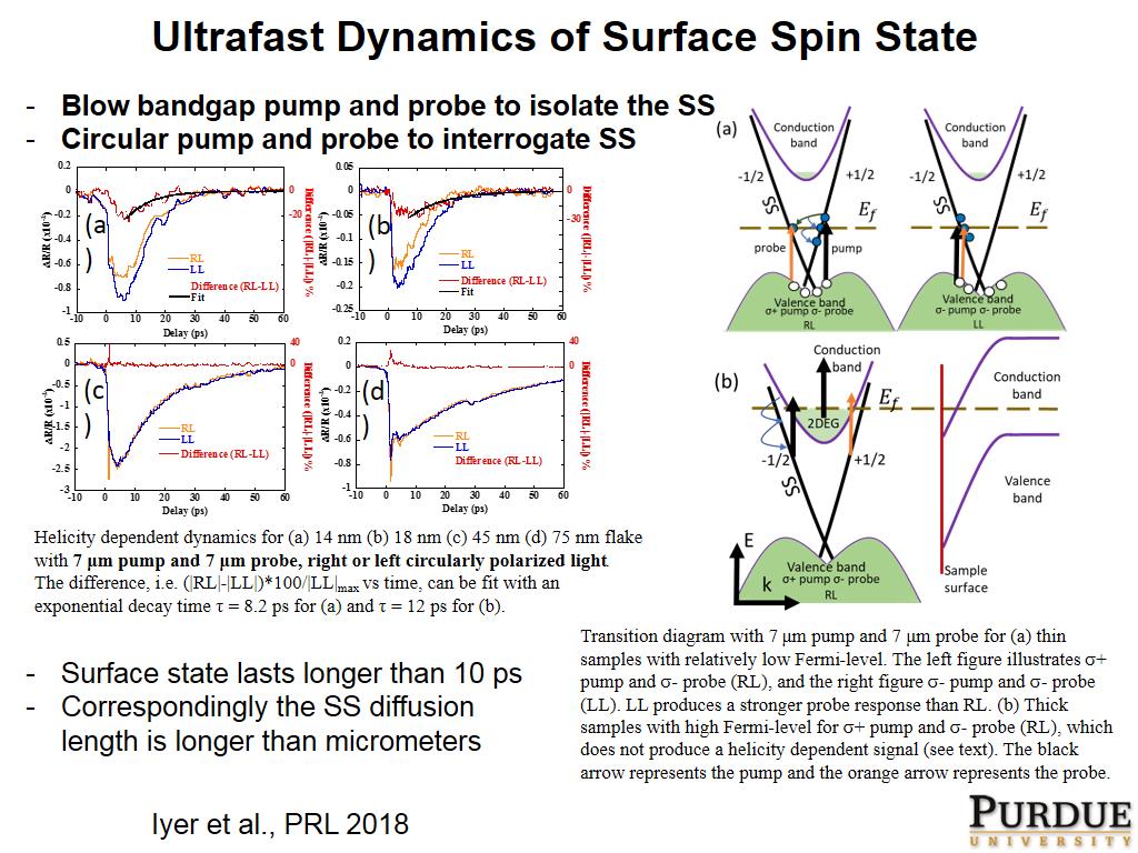 Ultrafast Dynamics of Surface Spin State