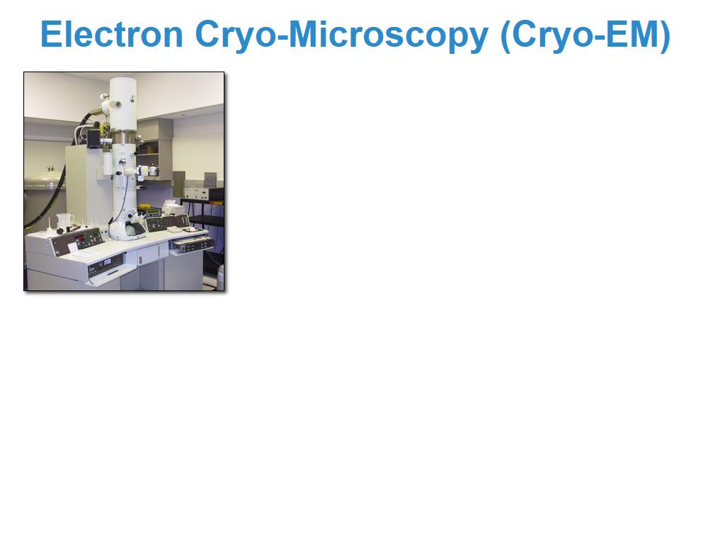 Electron Cryo-Microscopy (Cryo-EM)