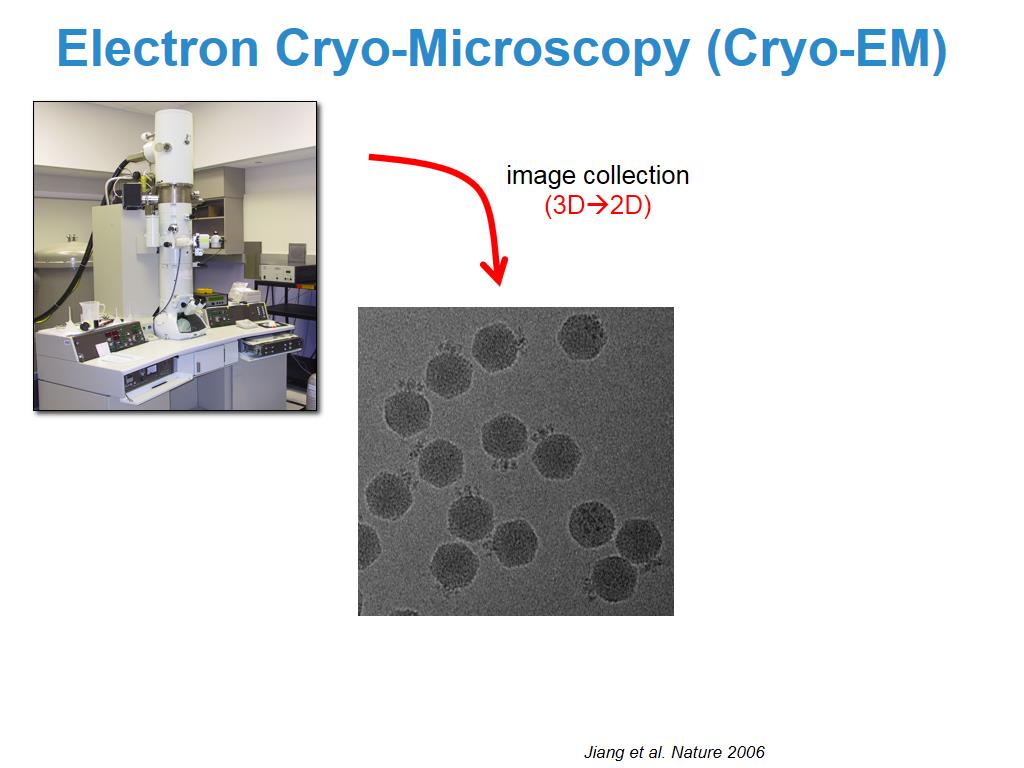 Electron Cryo-Microscopy (Cryo-EM)