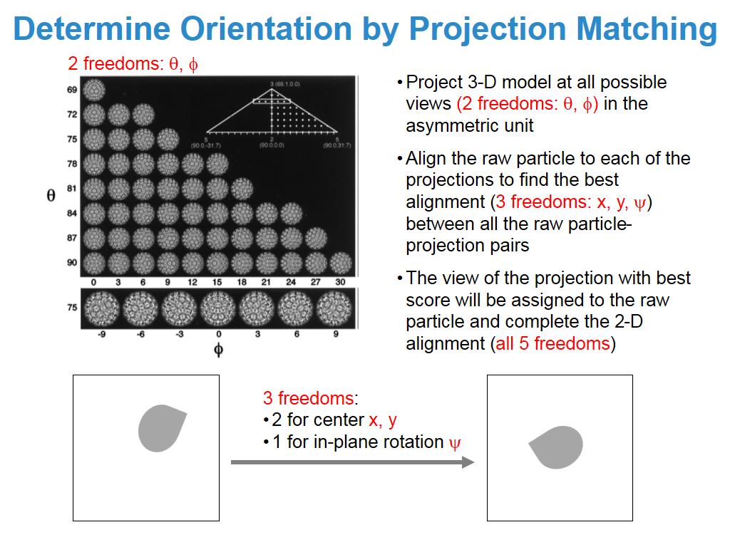 Determine Orientation by Projection Matching