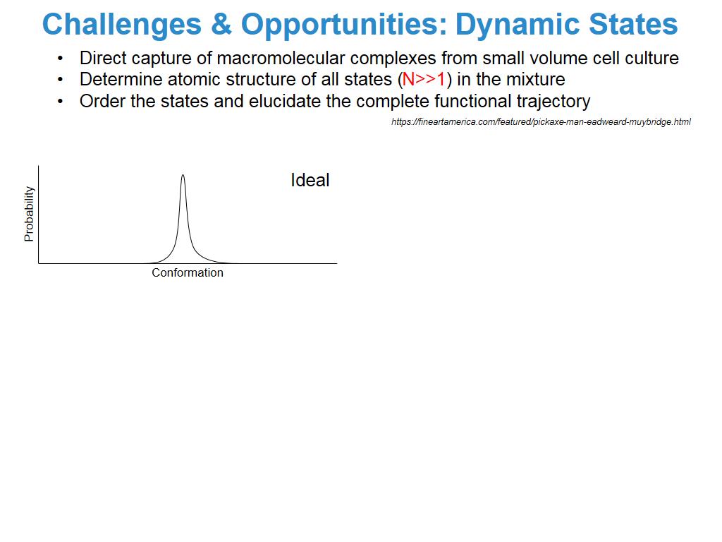 Challenges & Opportunities: Dynamic States