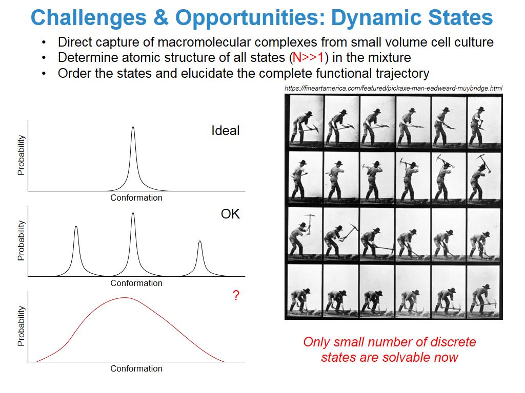 Challenges & Opportunities: Dynamic States
