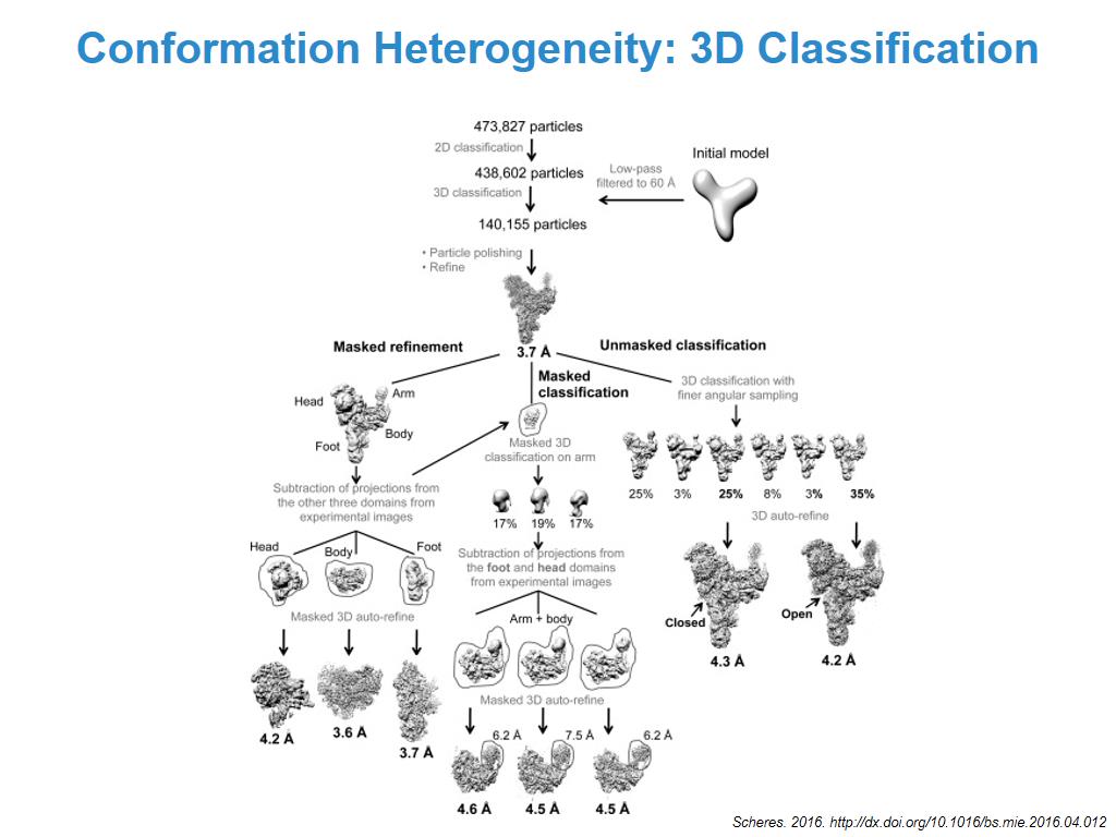 Conformation Heterogeneity: 3D Classification